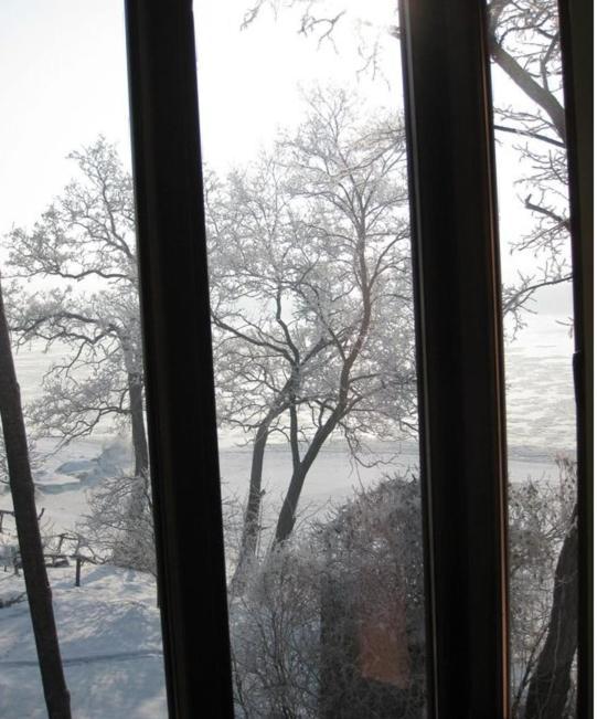 Pensjonat Winnica Stary Toruń Esterno foto