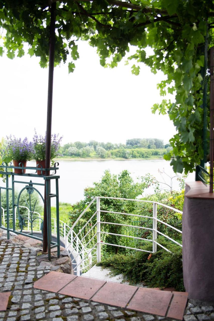 Pensjonat Winnica Stary Toruń Esterno foto